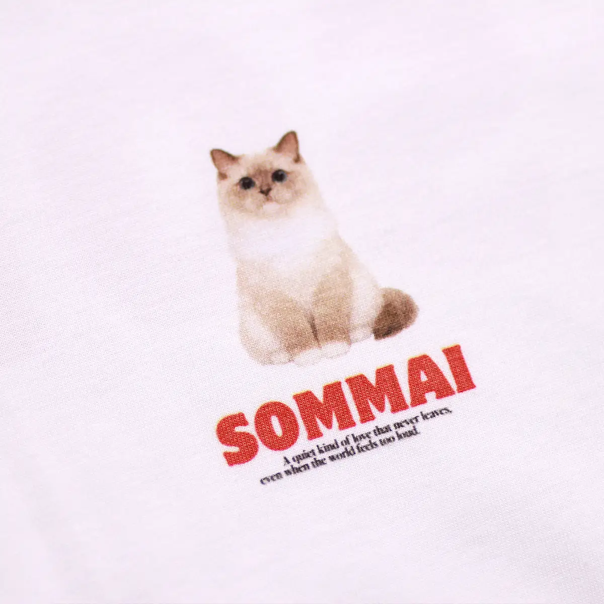 รับสกรีนเสื้อ แพร่ ตัวอย่างงานสกรีนเสื้อ DTG