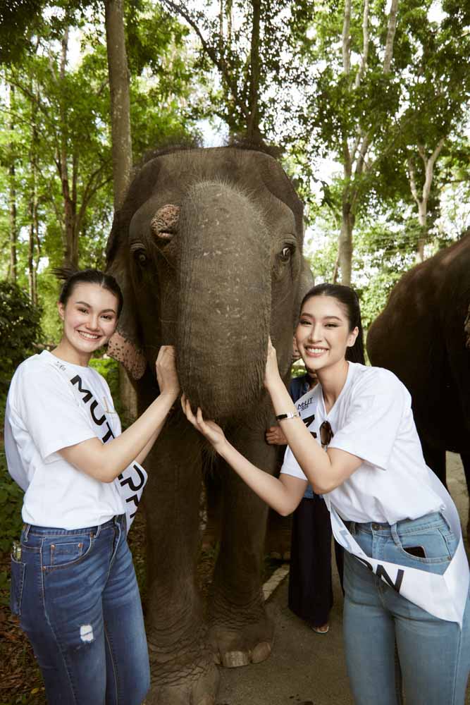 งาน Event ที่ใช้เสื้อของเรา สำหรับ สกรีนเสื้อ พิจิตร โดย Premium-DTG