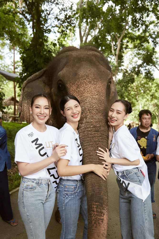 งาน Event ที่ใช้เสื้อของเรา สำหรับ รับสกรีนเสื้อ ชุมพร โดย Premium-DTG